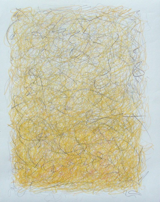 Marlise Senzamici | "Proposition2_#29" | Graphite and color pencil on acid-free paper | 20 x 16 in.