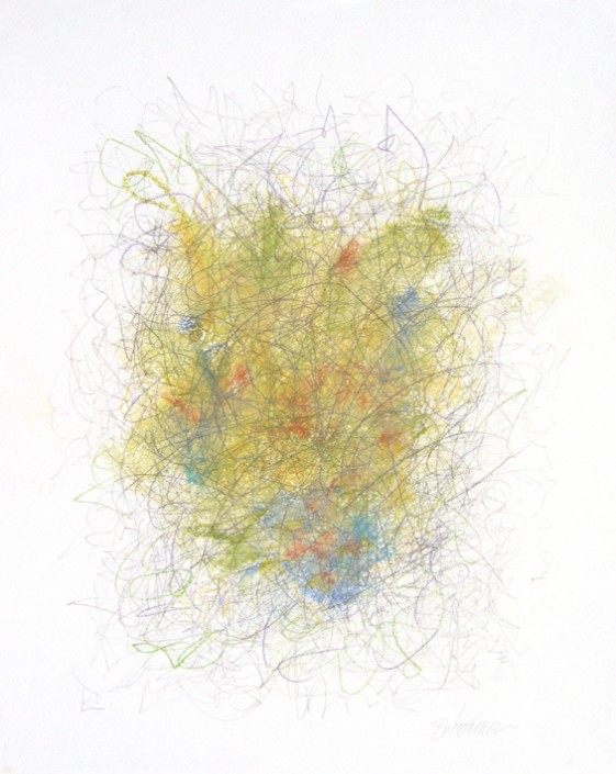 Marlise Senzamici | "Brainy_#41" | Chalk pastels, graphite pencil on acid-free paper | 20 x 16 in. | MCASB Dusk 'til Drawn | Private Collection