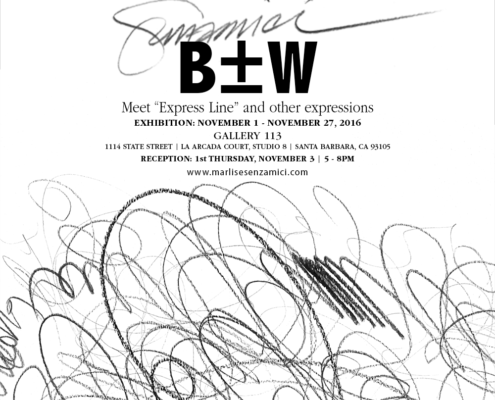 Marlise Senzamici | B±W at Gallery 113 | November 2016 | Artists' Reception Announcement