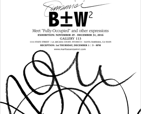 Marlise Senzamici | B±W2 at Gallery 113 | December 2016 | Artists' Reception Announcement